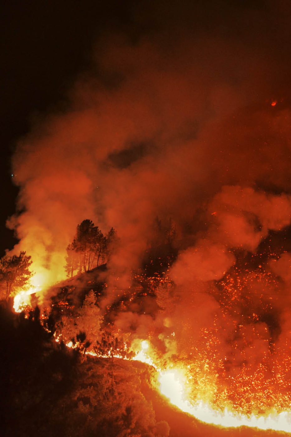 Phree - AAFF _LUMES _interior92