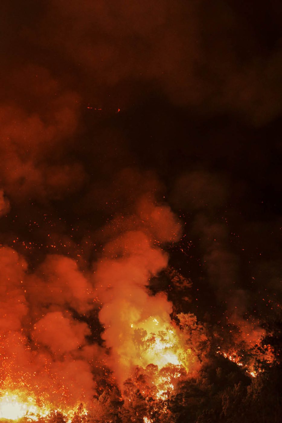 Phree - AAFF _LUMES _interior93