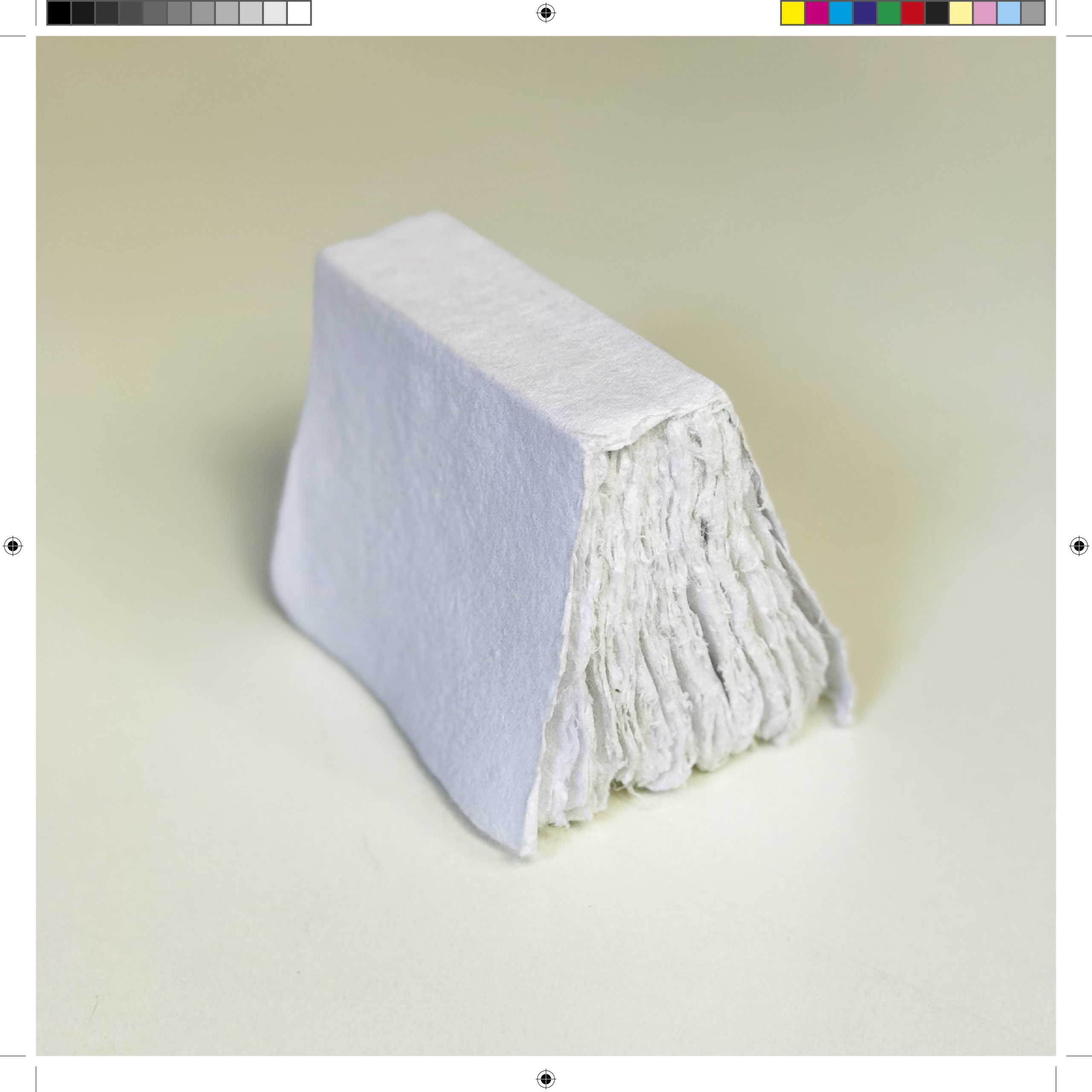 Phree - PROMO_FOTOLIBROS_04