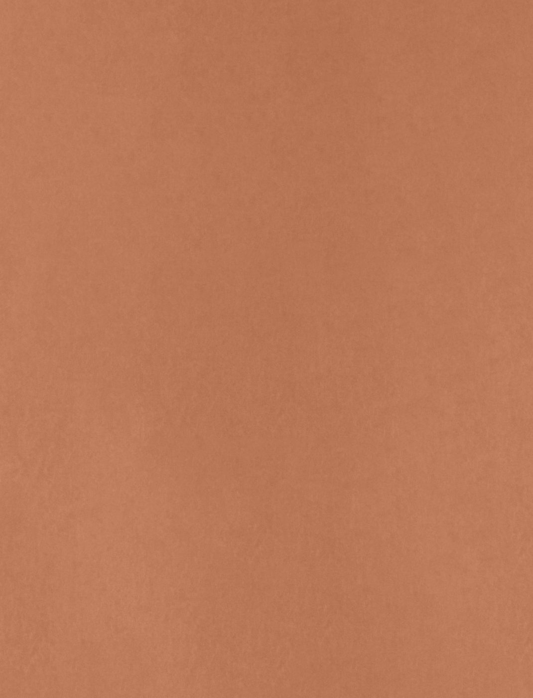 Phree - PUNTO_CIEGO_WEB_PHREE_004