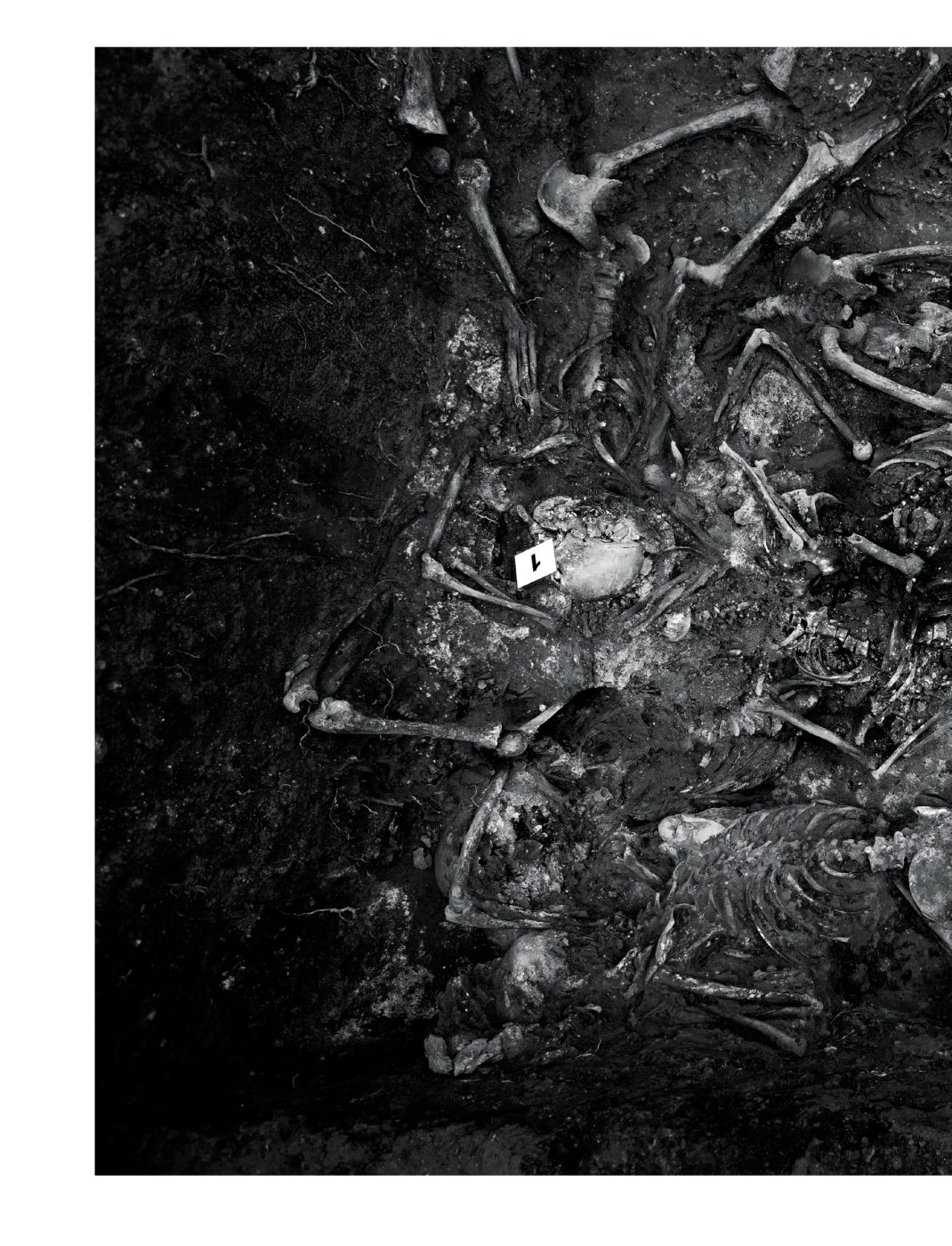 Phree - AAFF_PUNTO_CIEGO _interior _v2.indd