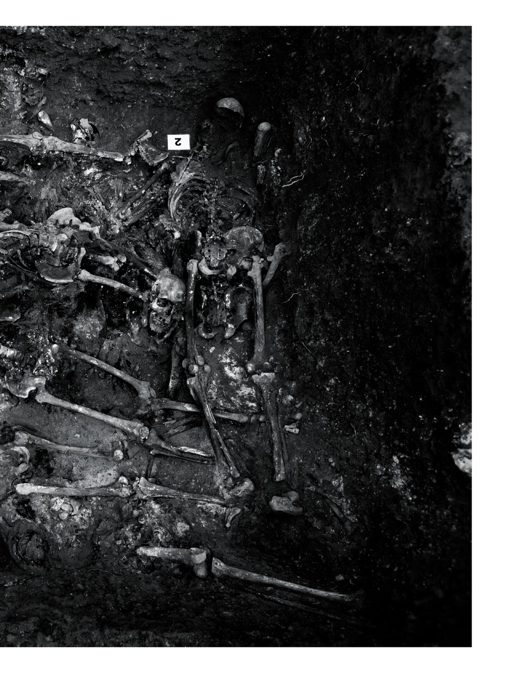 Phree - AAFF_PUNTO_CIEGO _interior _v2.indd