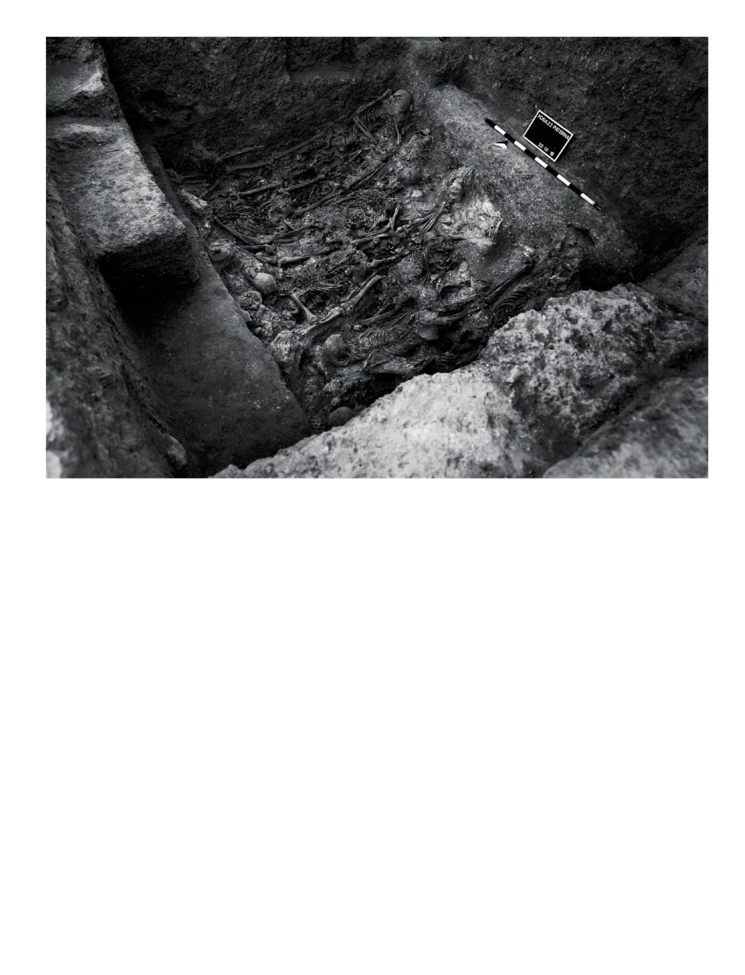 Phree - AAFF_PUNTO_CIEGO _interior _v2.indd