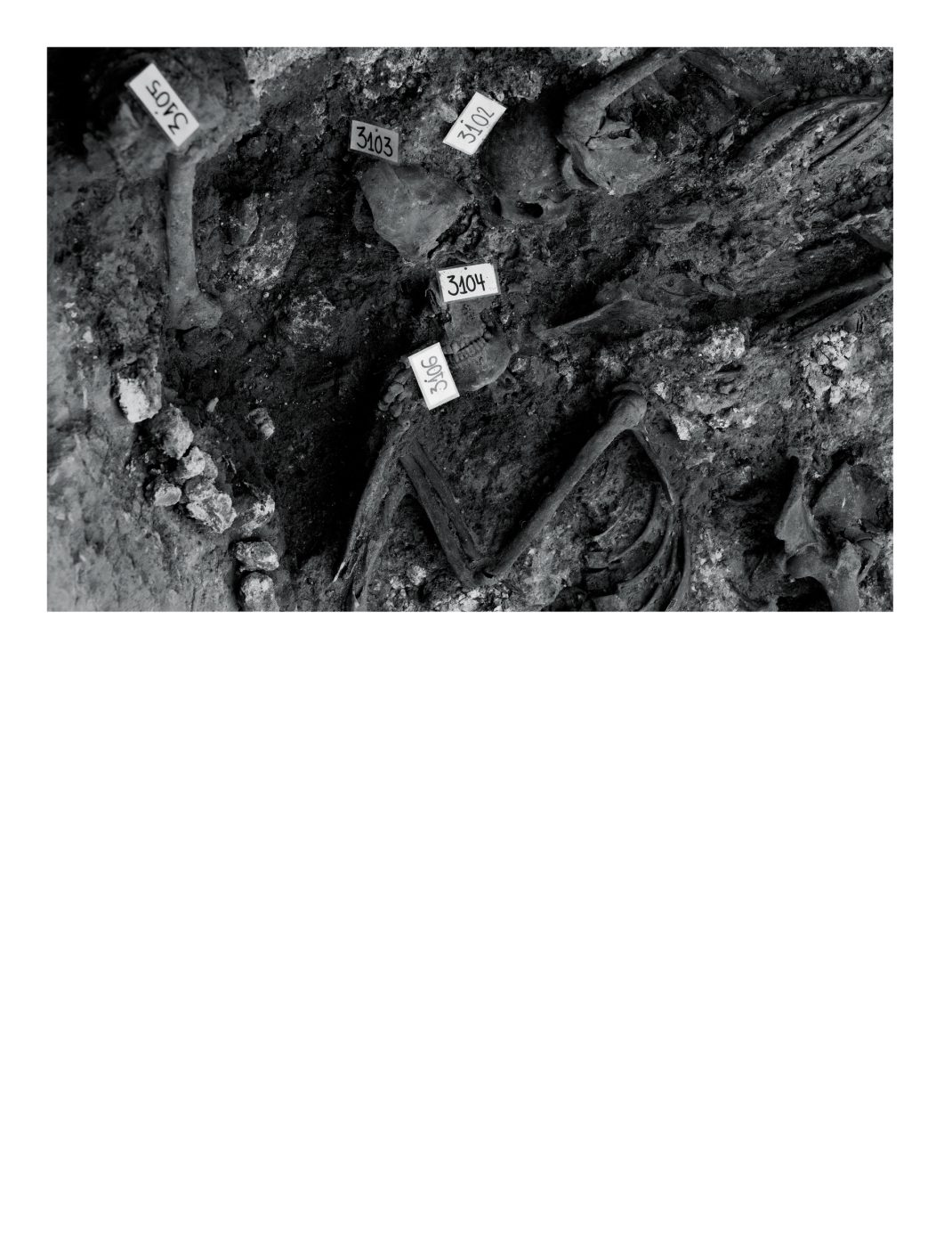 Phree - AAFF_PUNTO_CIEGO _interior _v2.indd