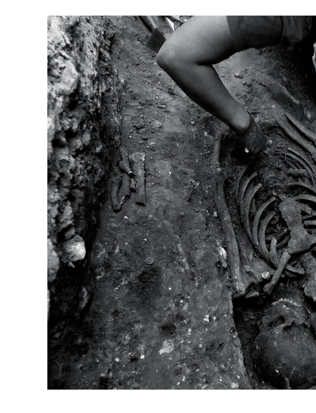 Phree - AAFF_PUNTO_CIEGO _interior _v2.indd