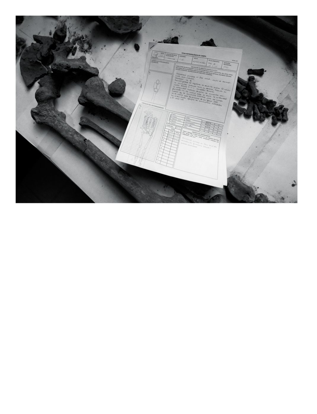 Phree - AAFF_PUNTO_CIEGO _interior _v2.indd