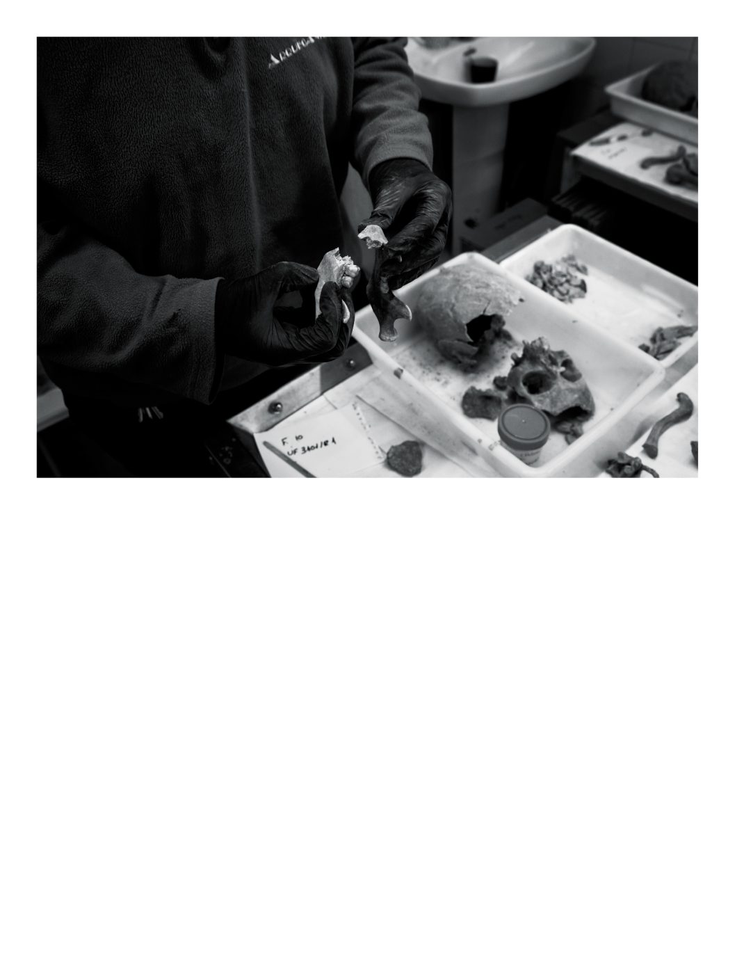 Phree - AAFF_PUNTO_CIEGO _interior _v2.indd