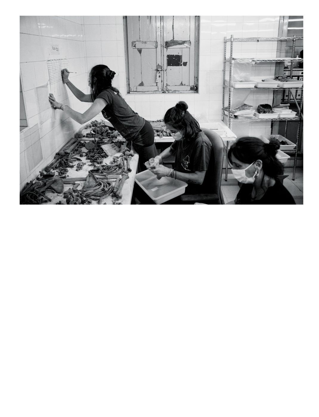 Phree - AAFF_PUNTO_CIEGO _interior _v2.indd