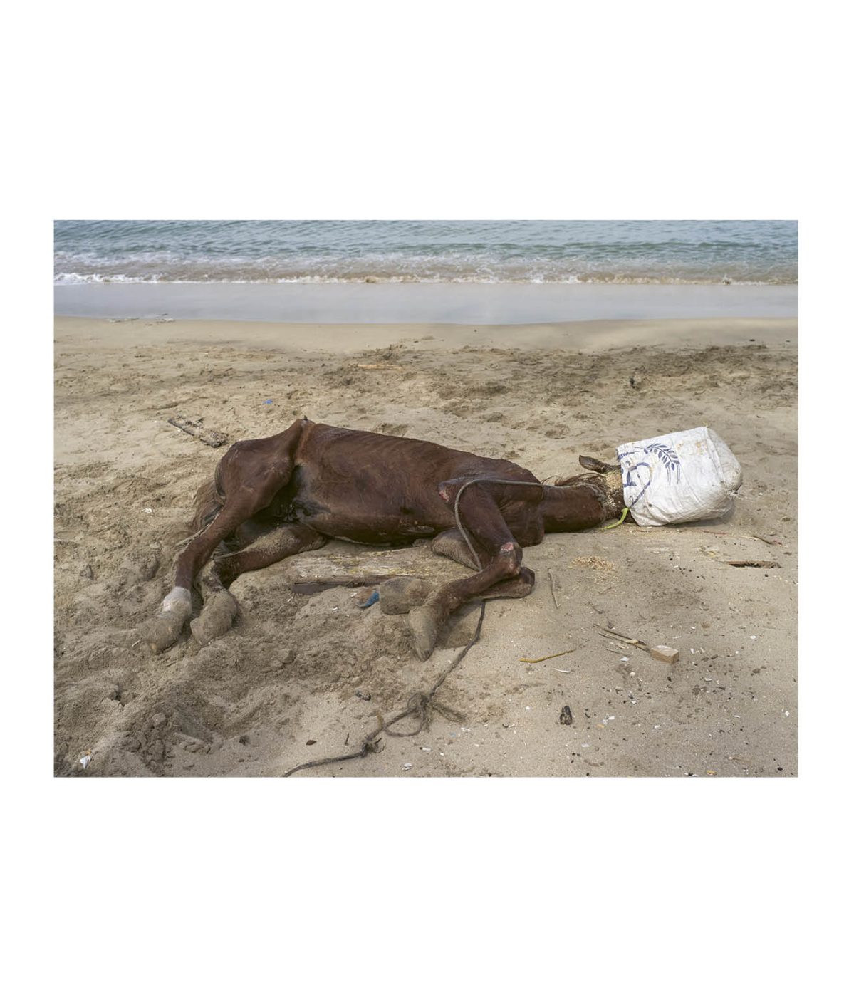 Phree - 001-128_INTERIOR_OK_p.021