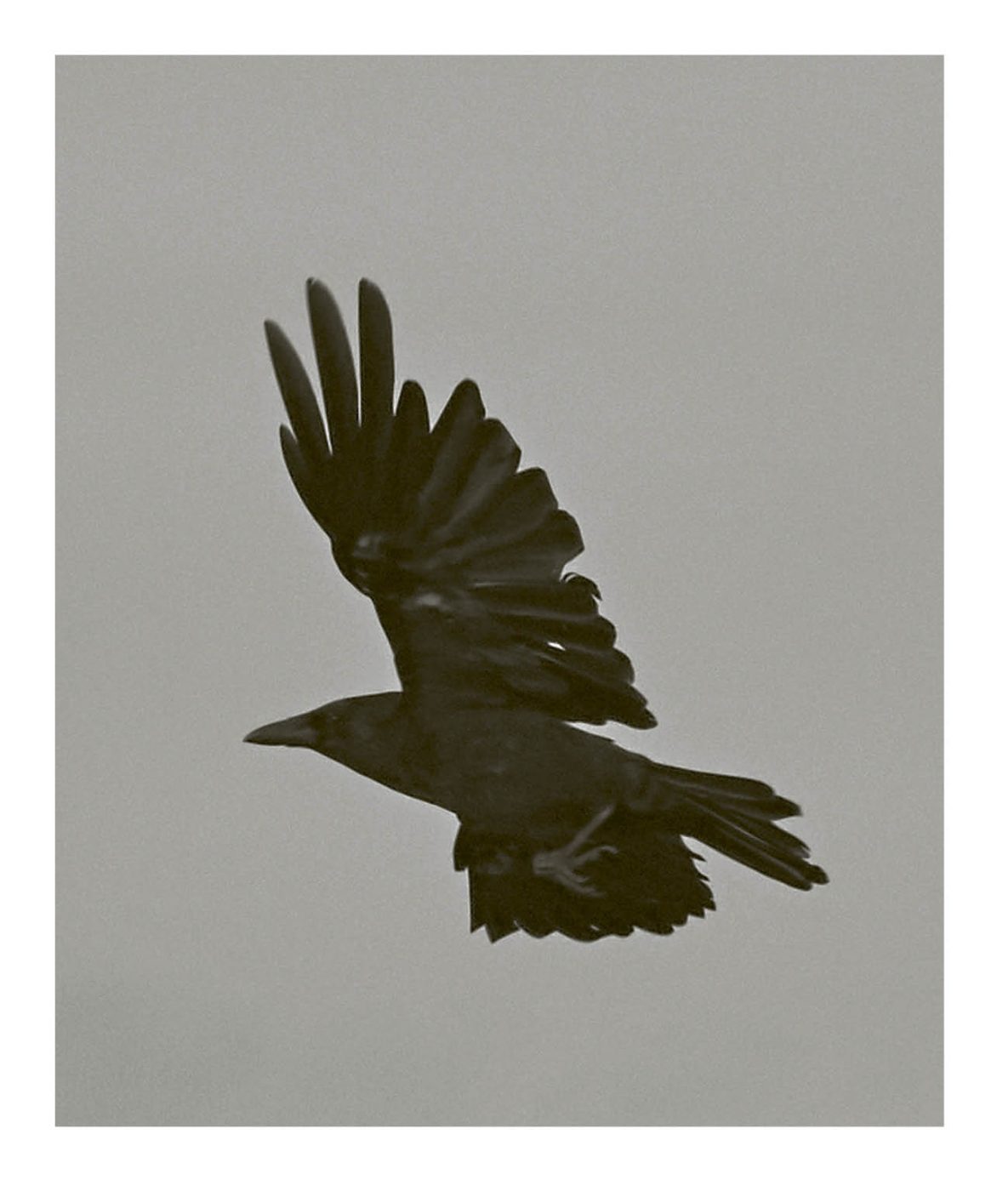 Phree - 001-128_INTERIOR_OK_p.032