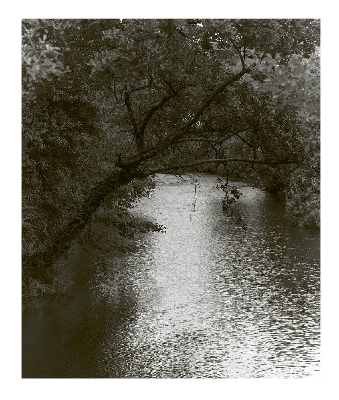 Phree - 001-128_INTERIOR_OK_p.037