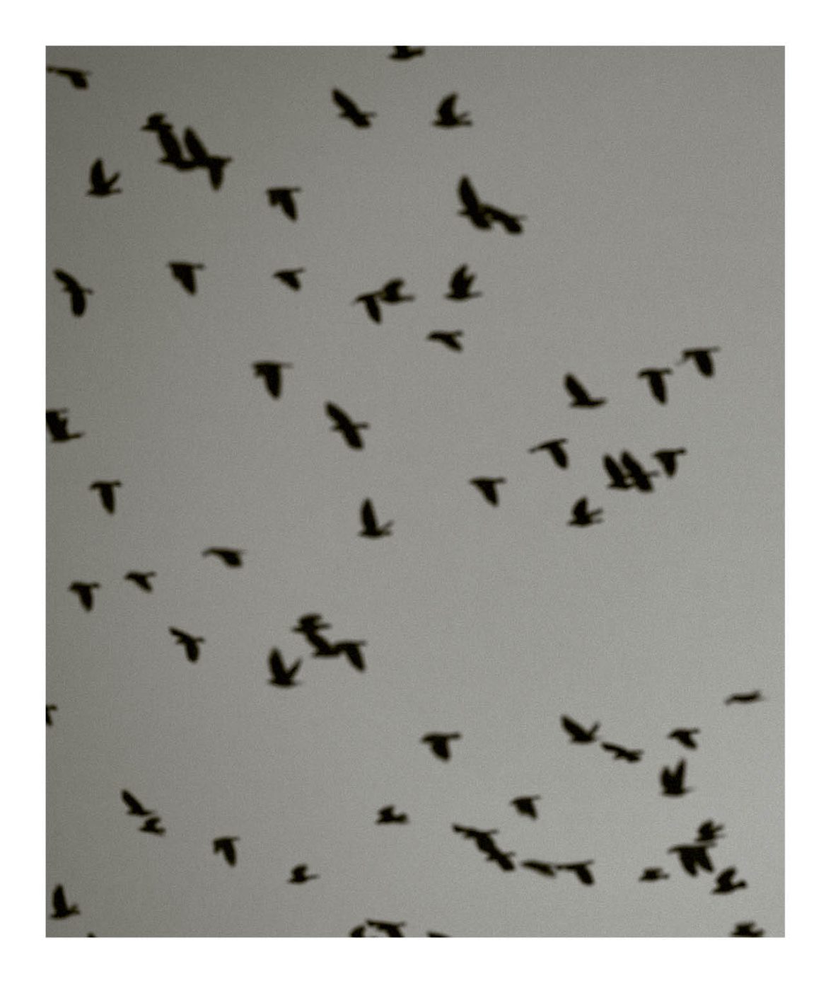 Phree - 001-128_INTERIOR_OK_p.062