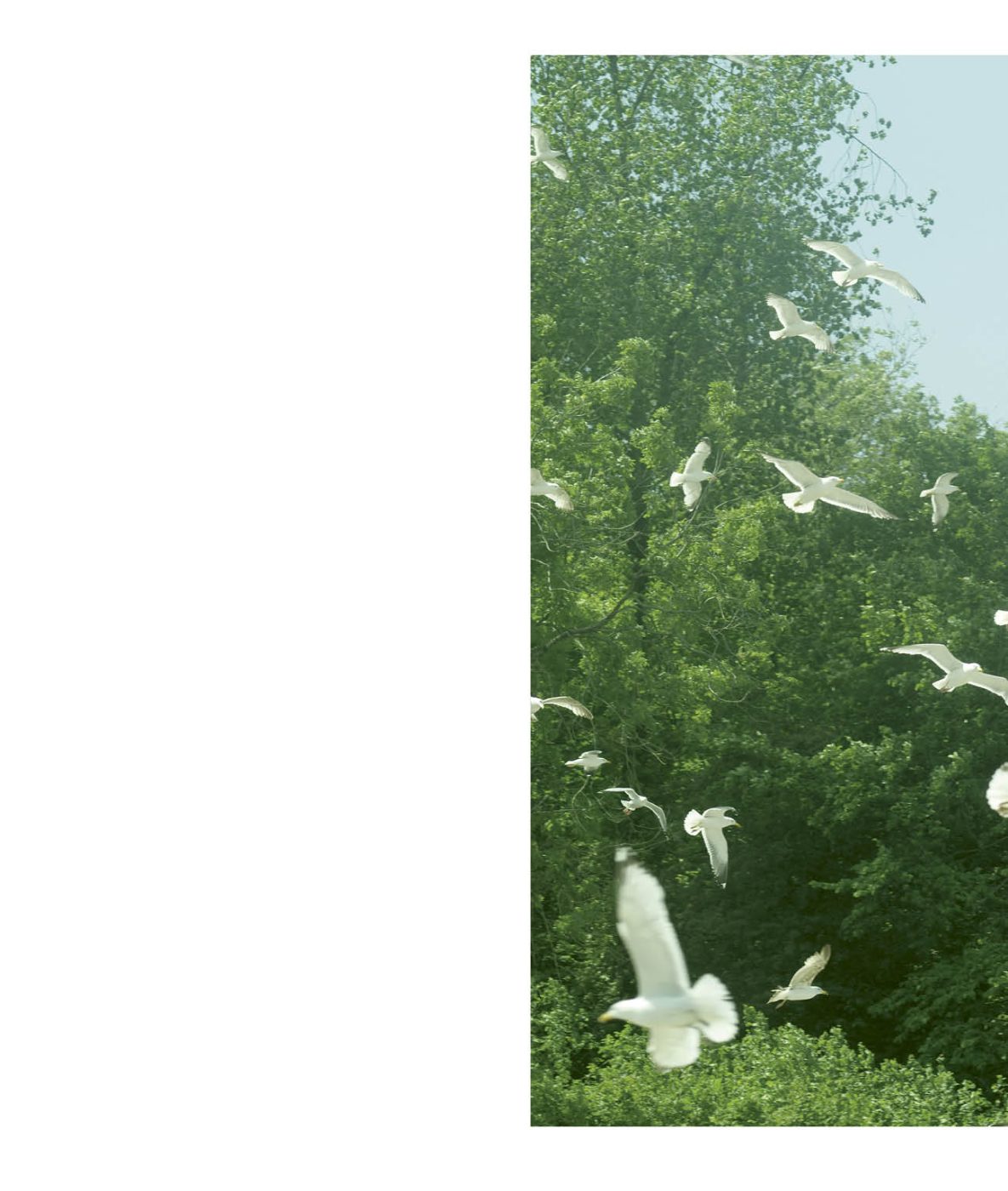 Phree - 001-128_INTERIOR_OK_p.098