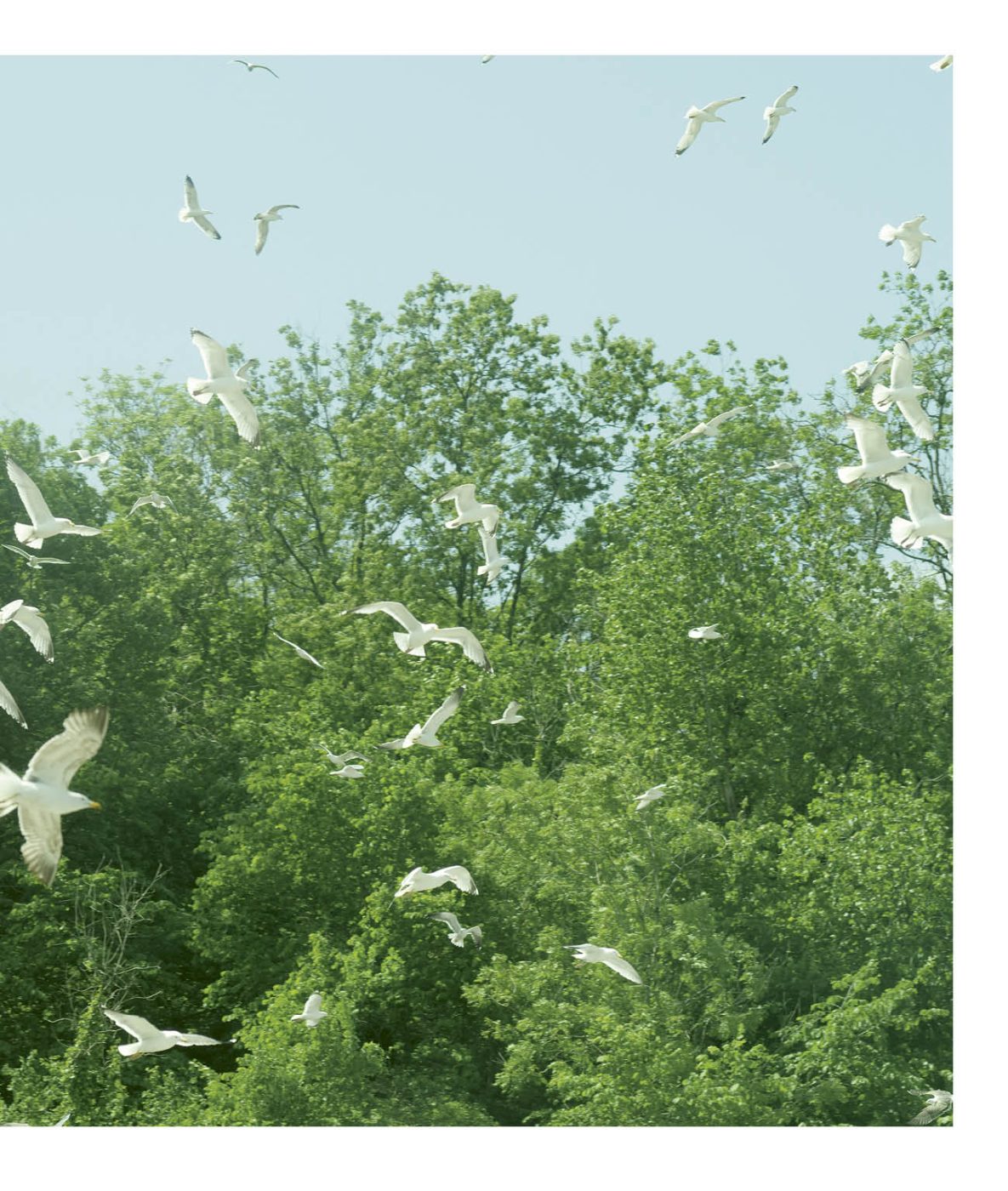 Phree - 001-128_INTERIOR_OK_p.099