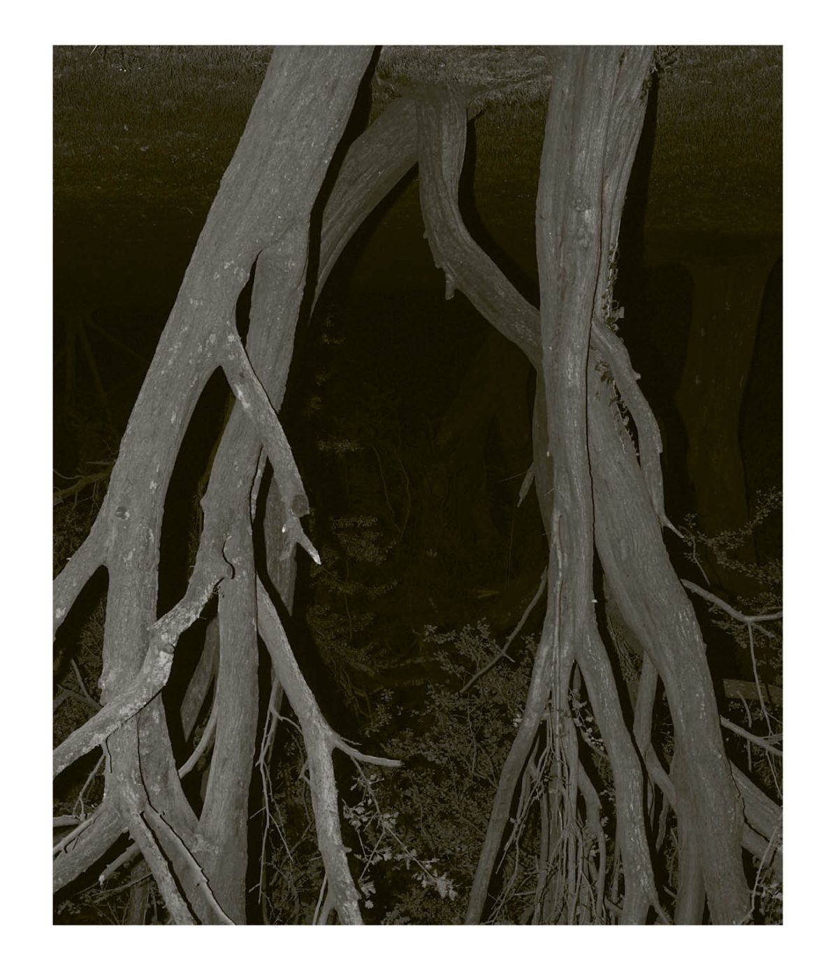 Phree - 001-128_INTERIOR_OK_p.103