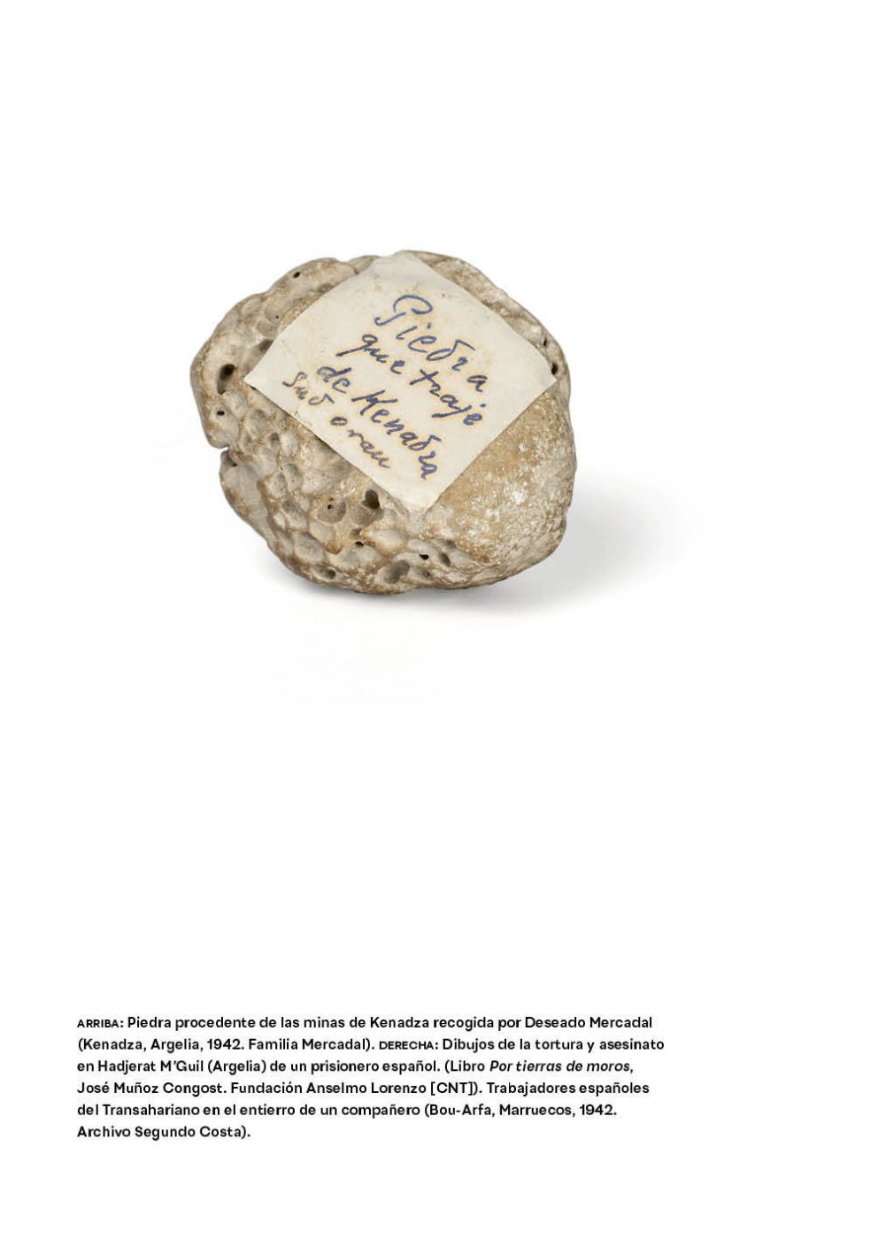 Phree - 001-152_INTERIOR_094