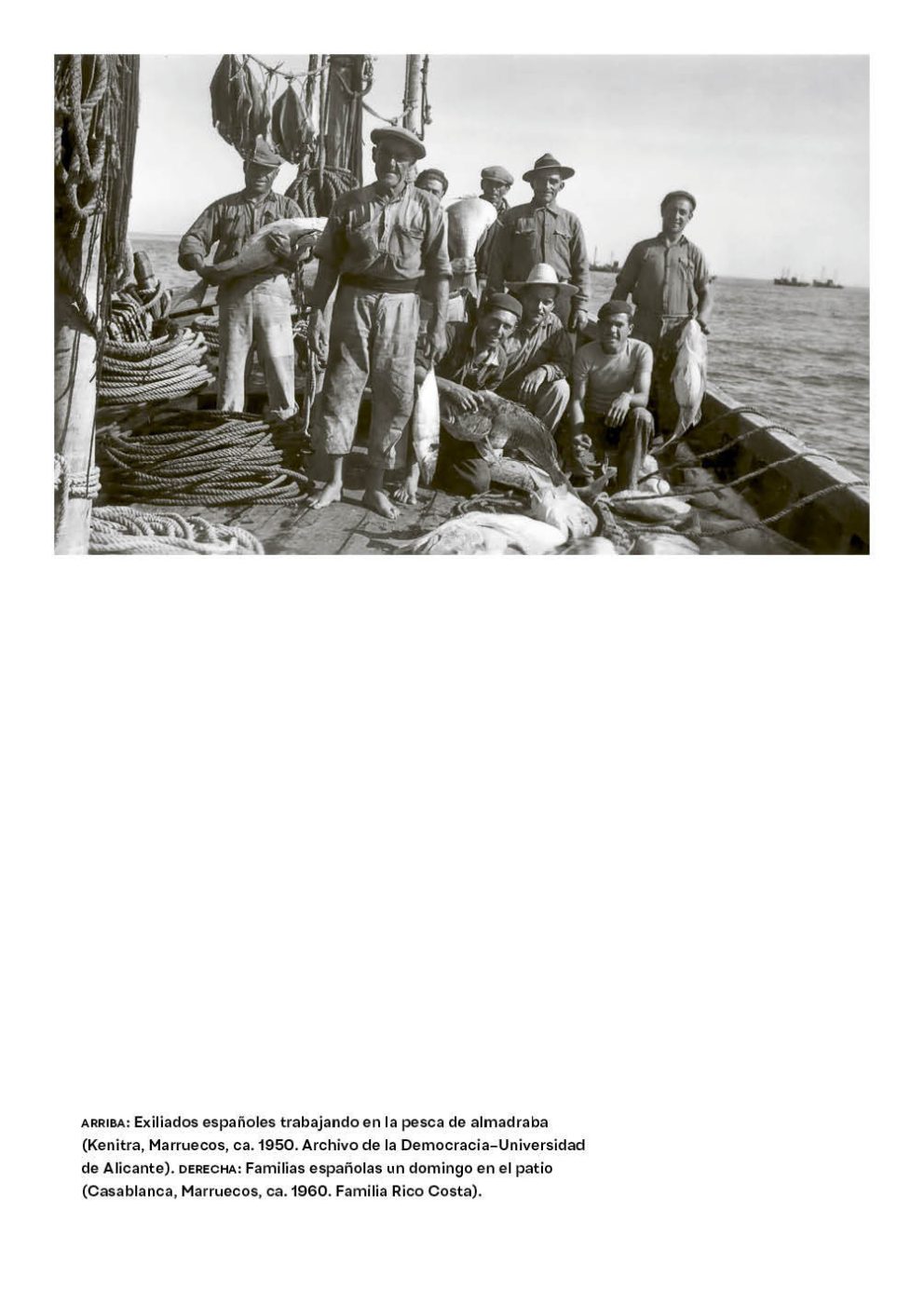 Phree - 001-152_INTERIOR_128