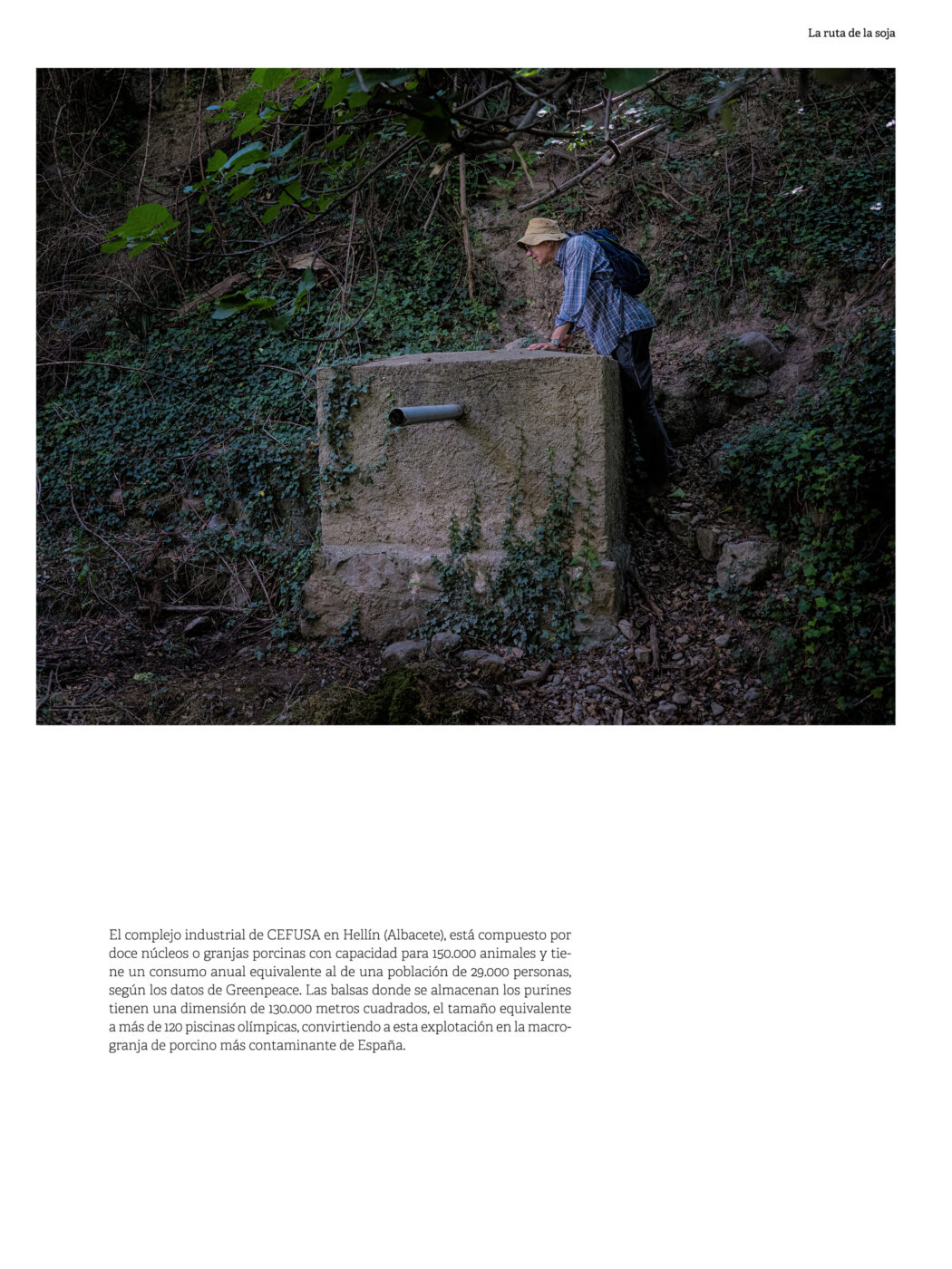 Phree - santi-donaire-hqlta-029